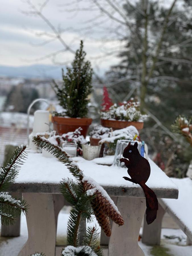 Farmhouse Eckartsberg Im Zittauer Gebirge - Ferienwohnung Mit 2 Schlafzimmern, Terrasse Und Wallbox Mittelherwigsdorf ภายนอก รูปภาพ